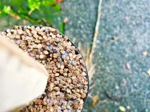 Perlit w produkcji roślinnej